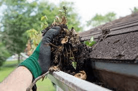 roof cleaning image